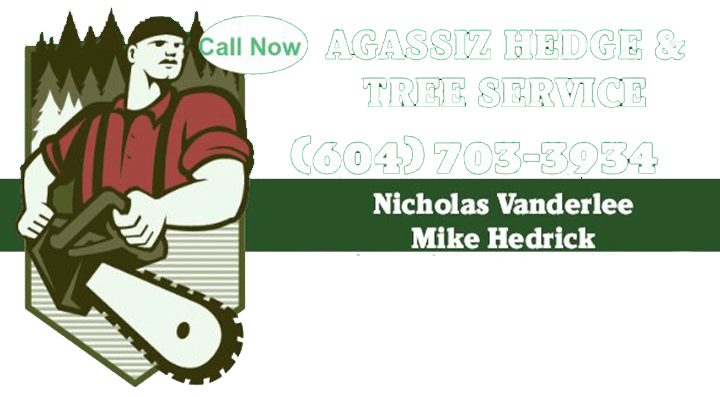 Agassiz Hedge & Tree Service