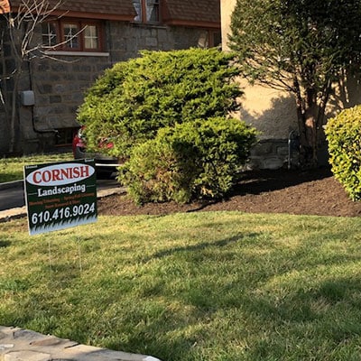 Spring/Fall Clean Up