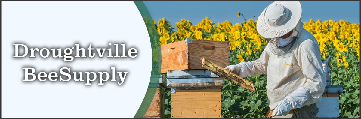 Beekeeping Classes