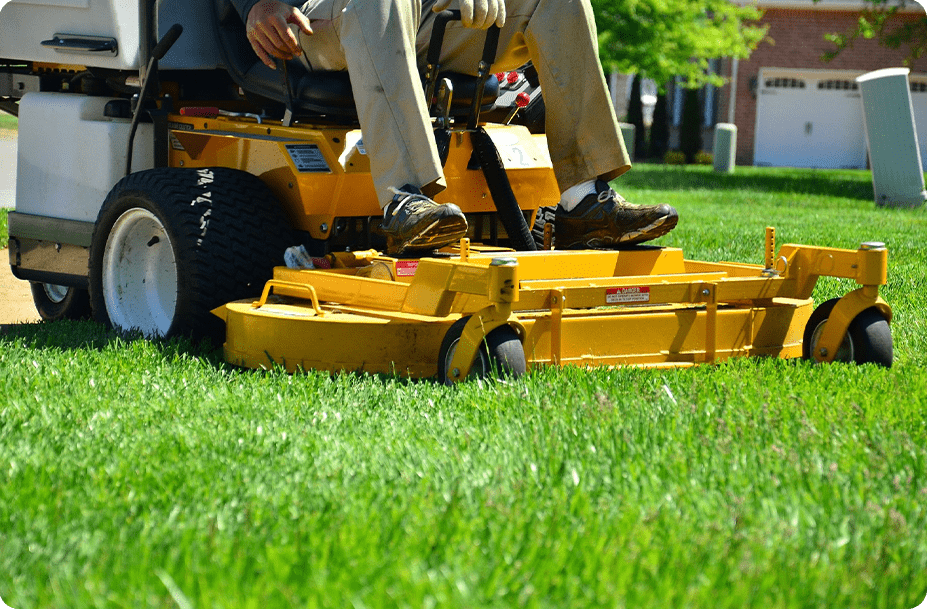 Lawn Care Services