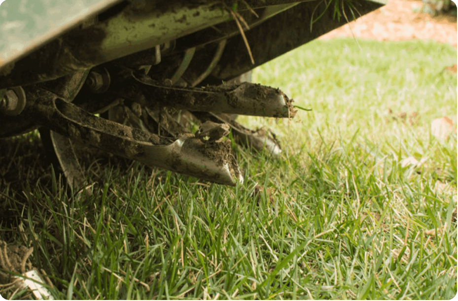 Lawn Maintenance