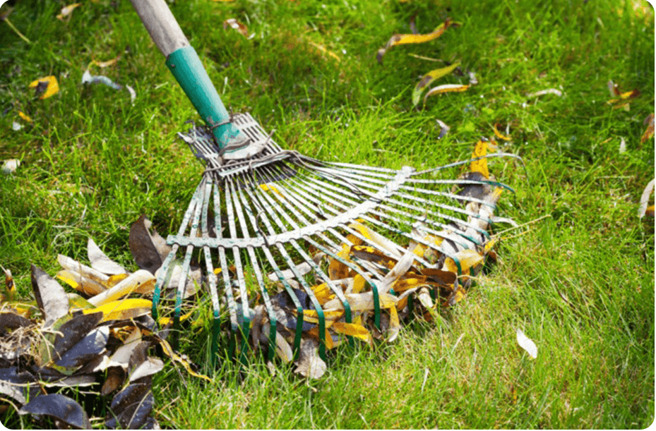 Spring Cleanup
