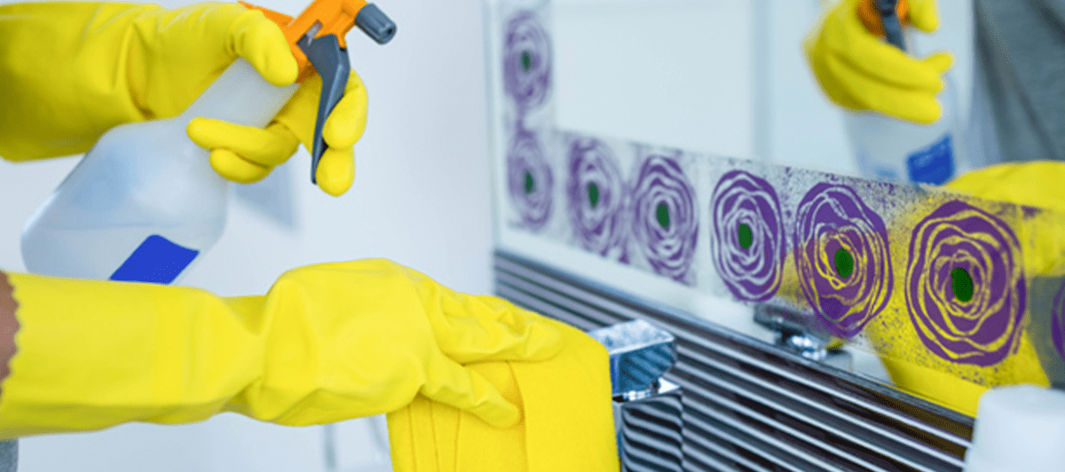 Cristina House Cleaning Performs Detail Cleaning in Perry Hall, MD