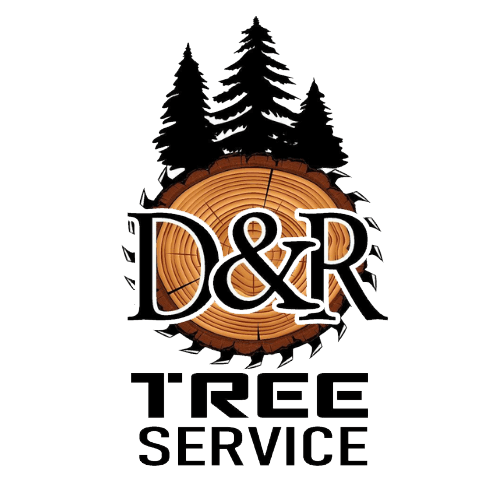 D&R Tree Service