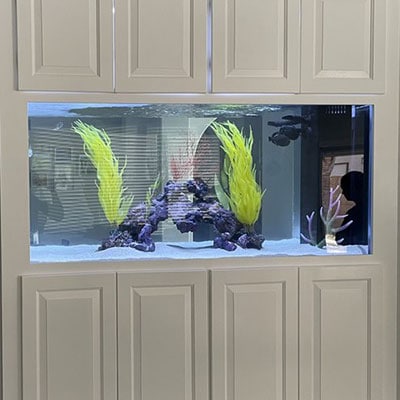Custom Aquariums