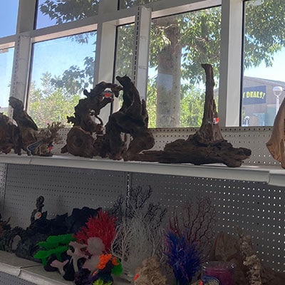 Aquarium Supplies