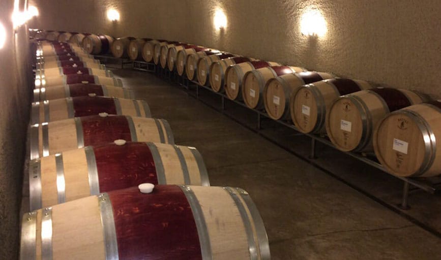 Randall's Wine Tours