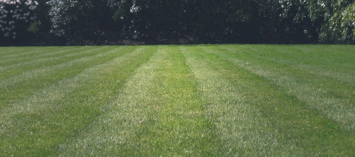 RR Shine Landscaping Offers Lawn Care Services in Coram, NY 11727