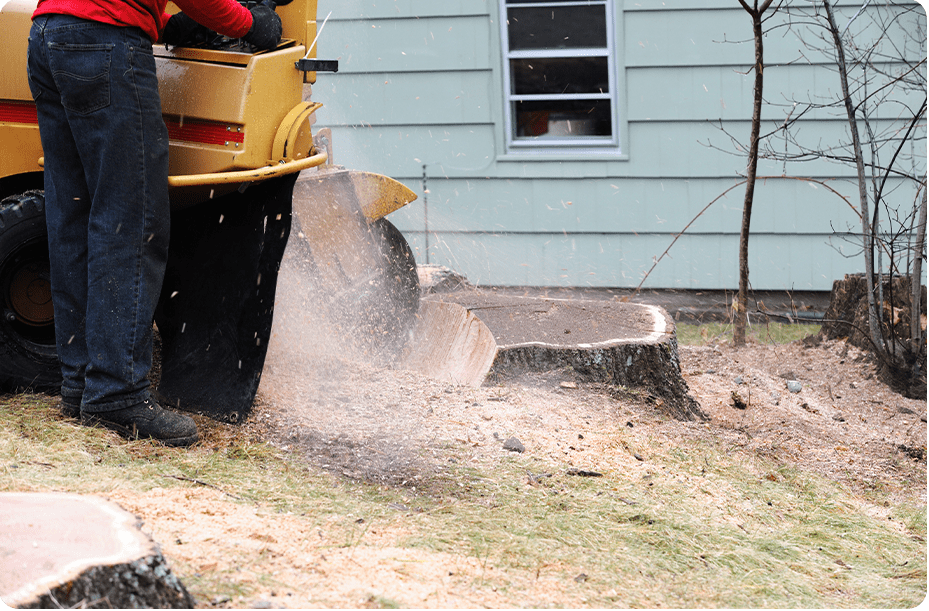 Stump Grinding