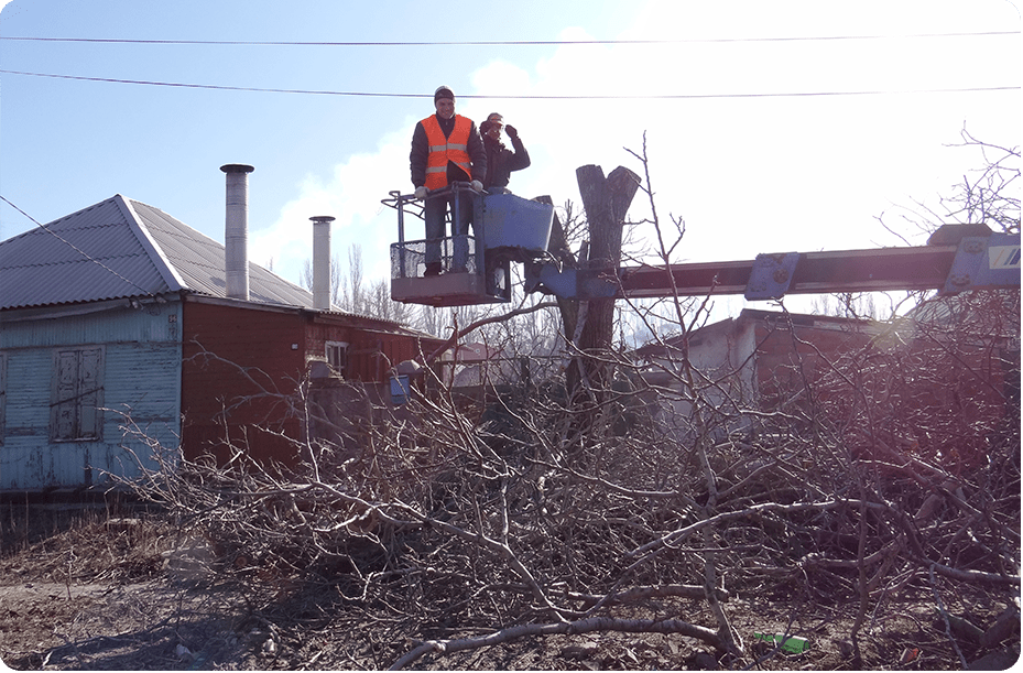 Emergency Tree Removal