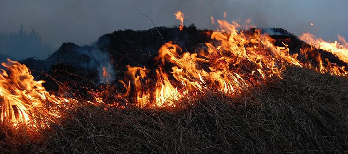 Fire Abatement