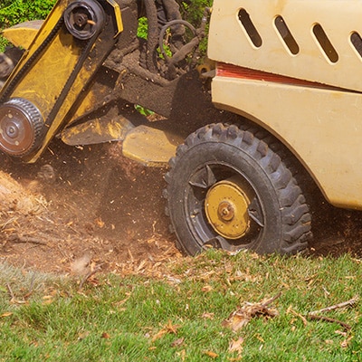 Stump Grinding