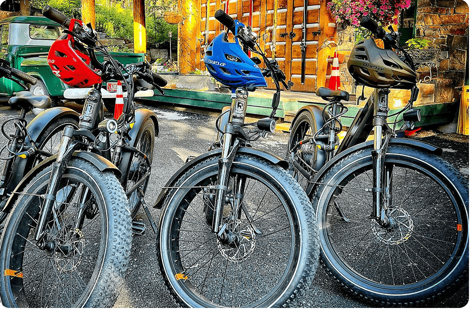 Bicycle Rentals