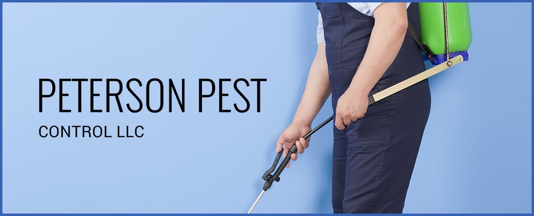 Pest Extermination