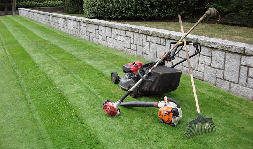 Earth and Water Landscape