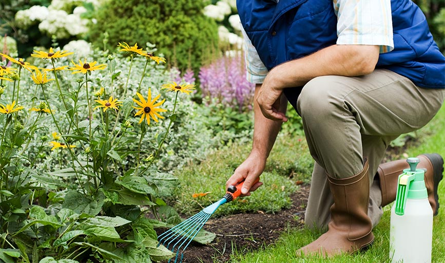 Earth and Water Landscape