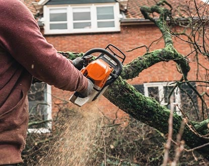 TREE SERVICES