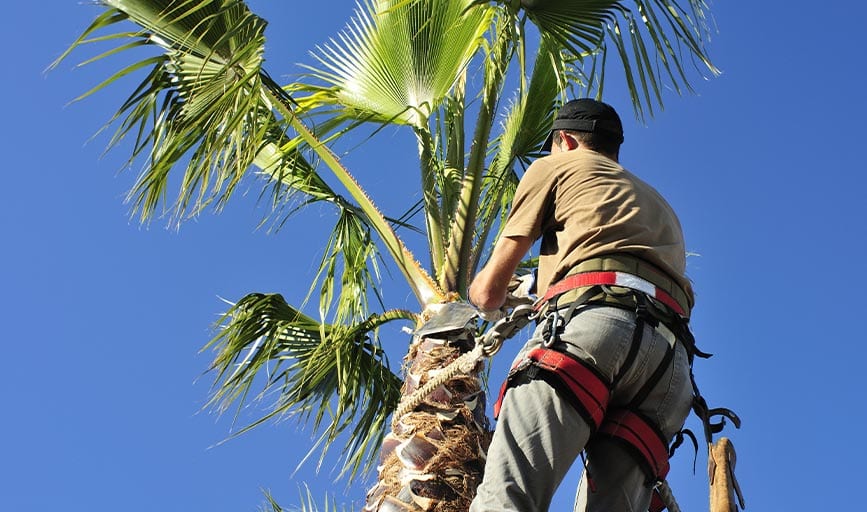 Earth and Water Landscape