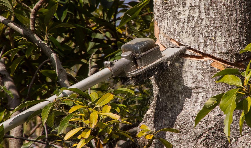 Earth and Water Landscape