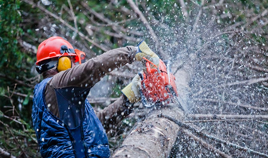 Earth and Water Landscape
