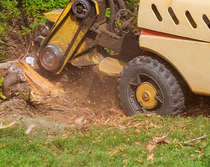 STUMP GRINDING