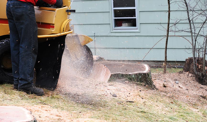Earth and Water Landscape