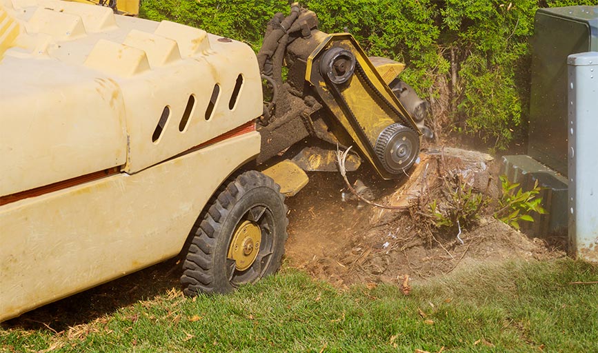 Earth and Water Landscape