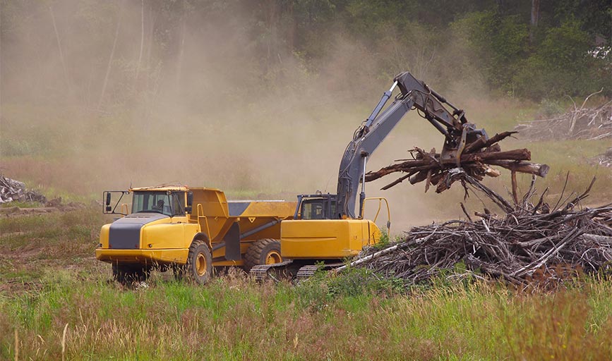 Earth and Water Landscape