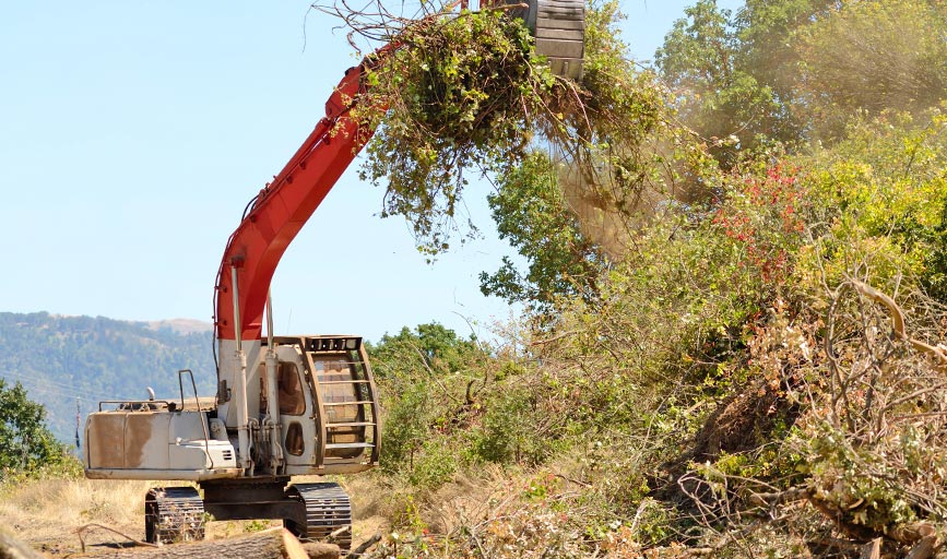 Earth and Water Landscape