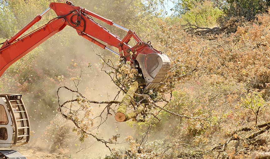 Earth and Water Landscape