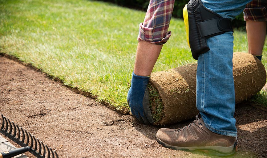 Earth and Water Landscape