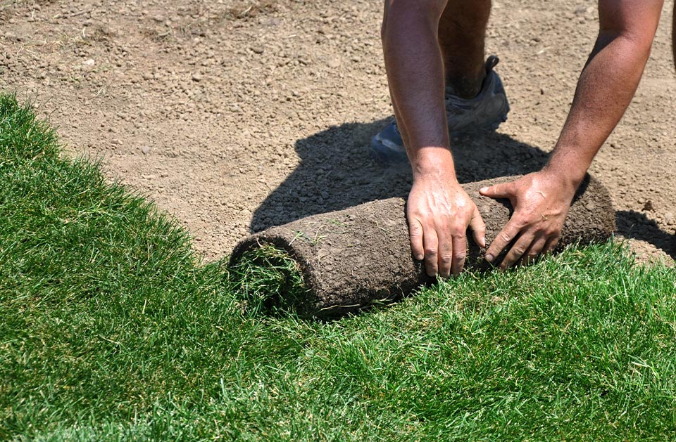 Earth and Water Landscape