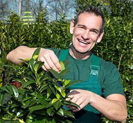 Earth and Water Landscape