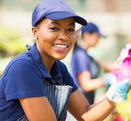 Earth and Water Landscape