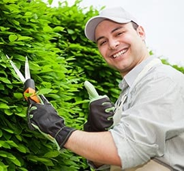 Earth and Water Landscape