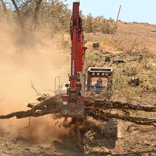 Land Clearing