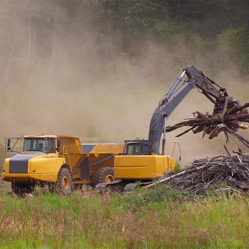 Tree Removal
