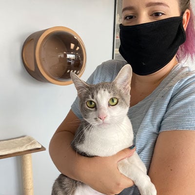 Cat Adoption Service
