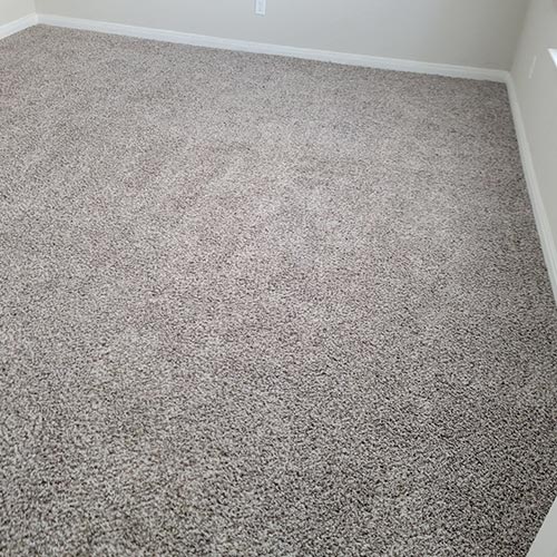 Trusted Care Carpet & Upholstery Cleaning Offers Carpet Cleaning in San