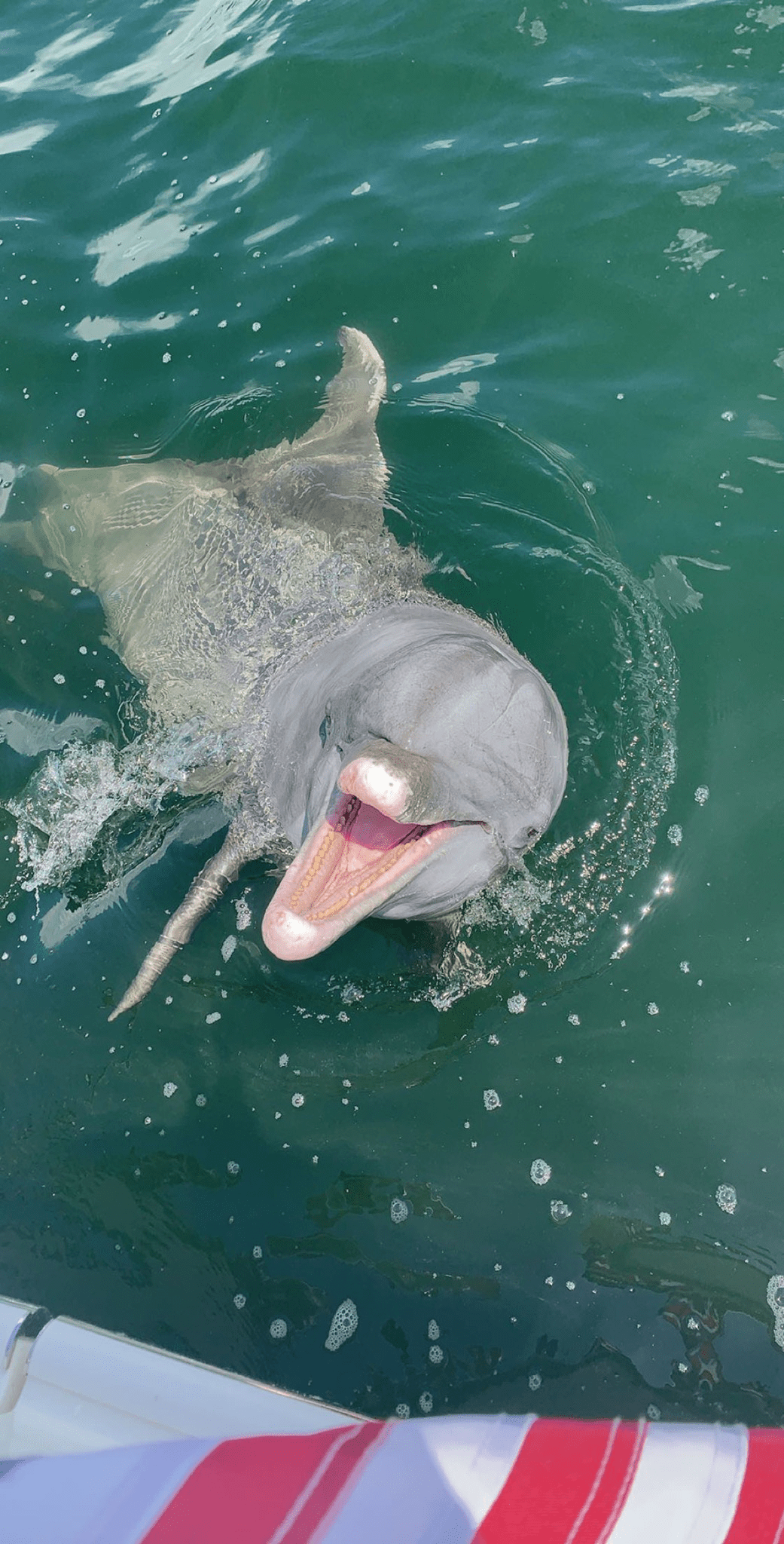 Englewood Boat Tours Offers Family Boat Tours in Englewood, FL 34224