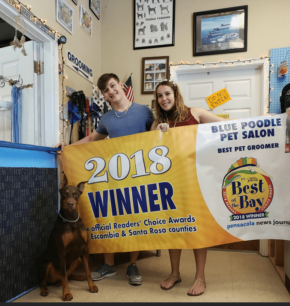 Blue Poodle Pet Salon & Boarding