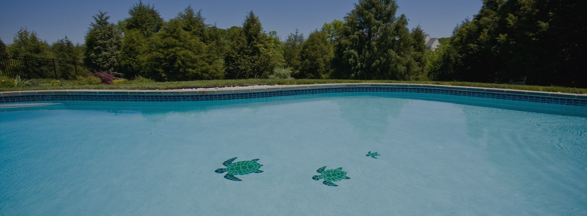 Professional Pools is a Pool Contractor in Asheboro, NC 27205