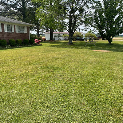 Residential Landscaping