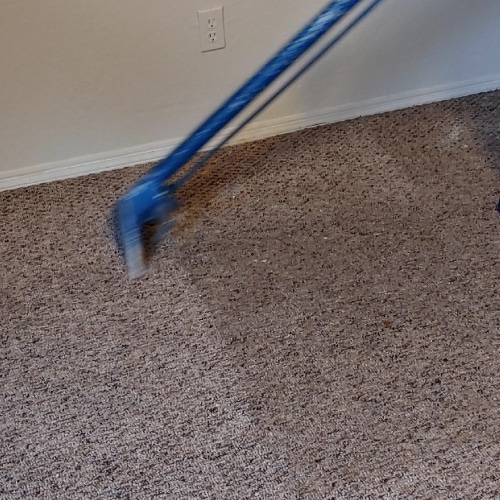 Carpet Cleaning