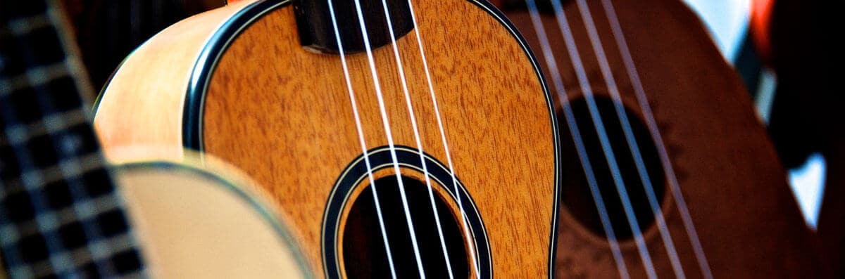 Ukulele Services