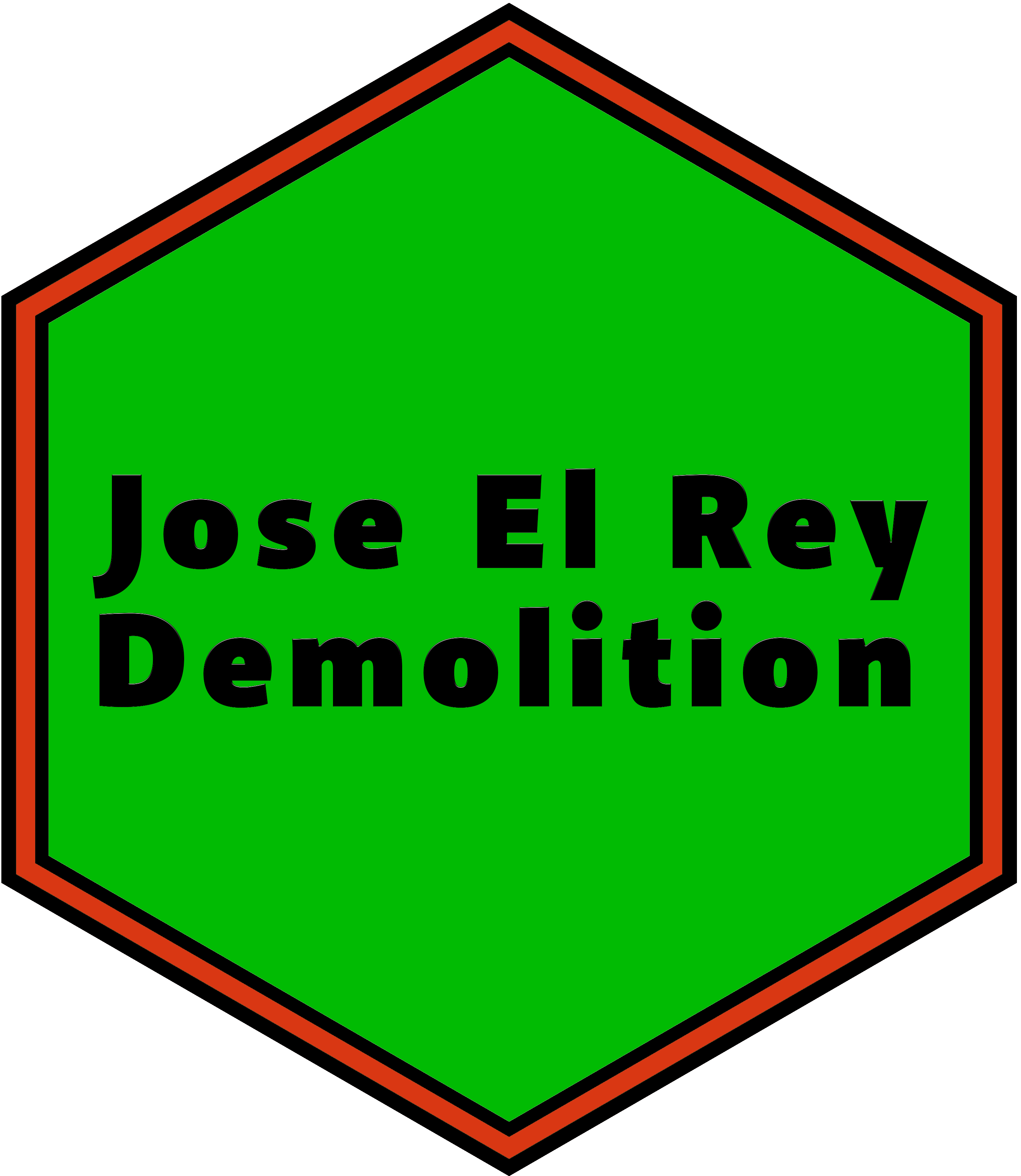 Jose El Rey Demolition