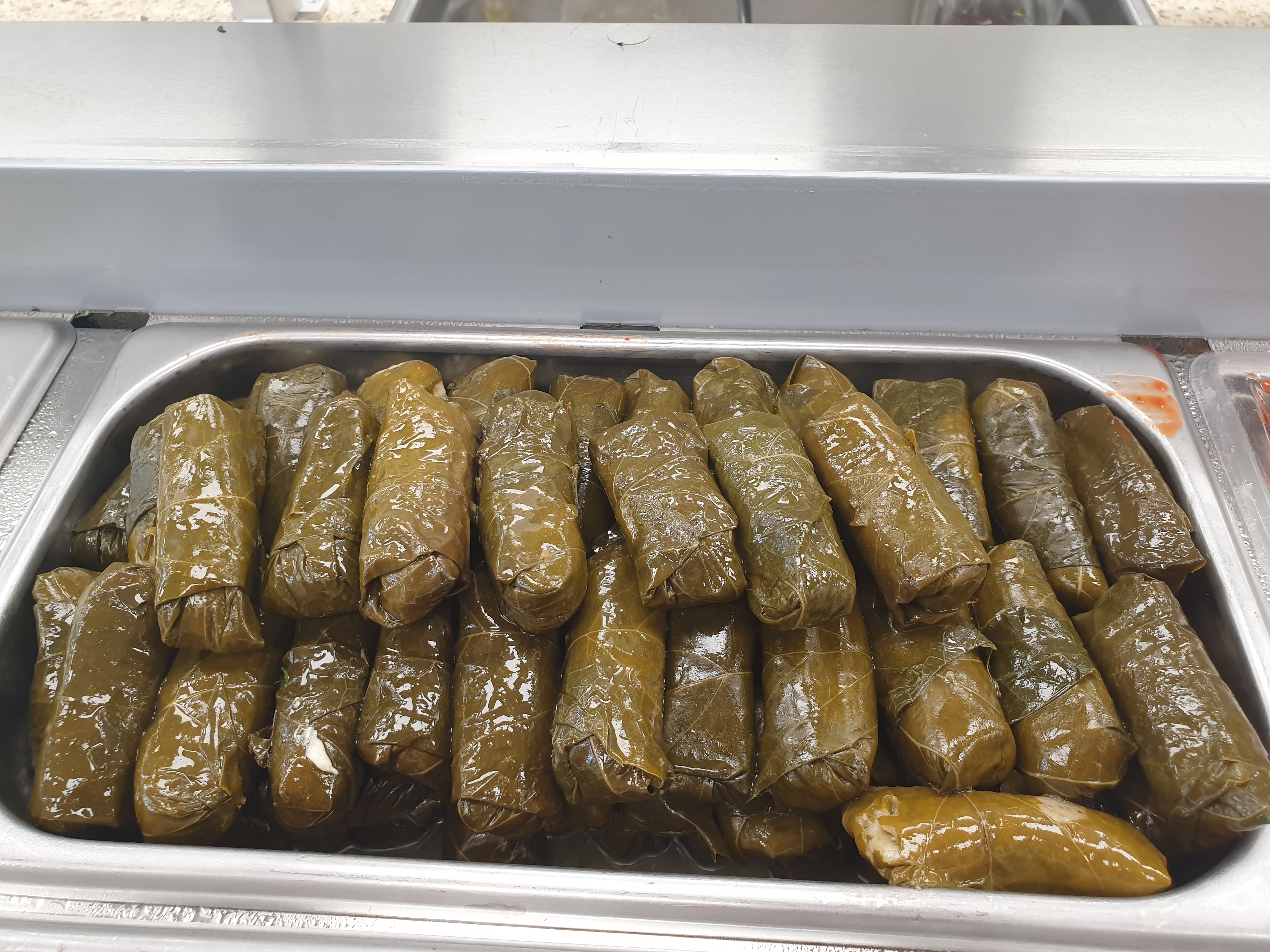 Dubai Grill Serves Vegan Kabab in Urbana, IL 61801