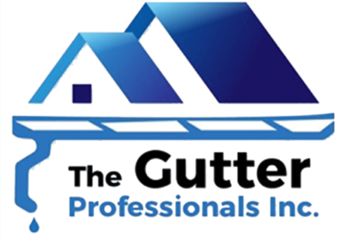 The Gutter Professionals