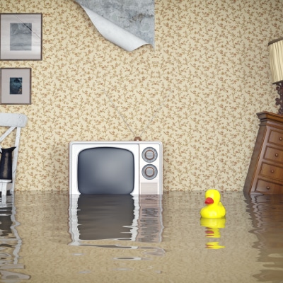 FLOOD AND WATER DAMAGE RESTORATION