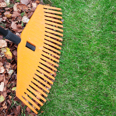 Fall/Spring Yard Cleanup